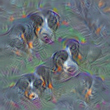 n02107683 Bernese mountain dog